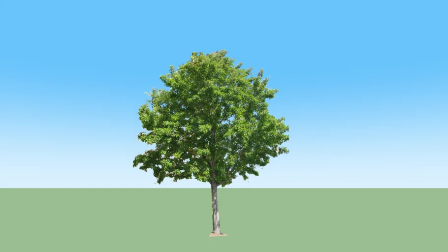 2D tree