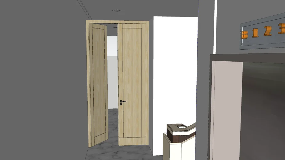Double Swing Door