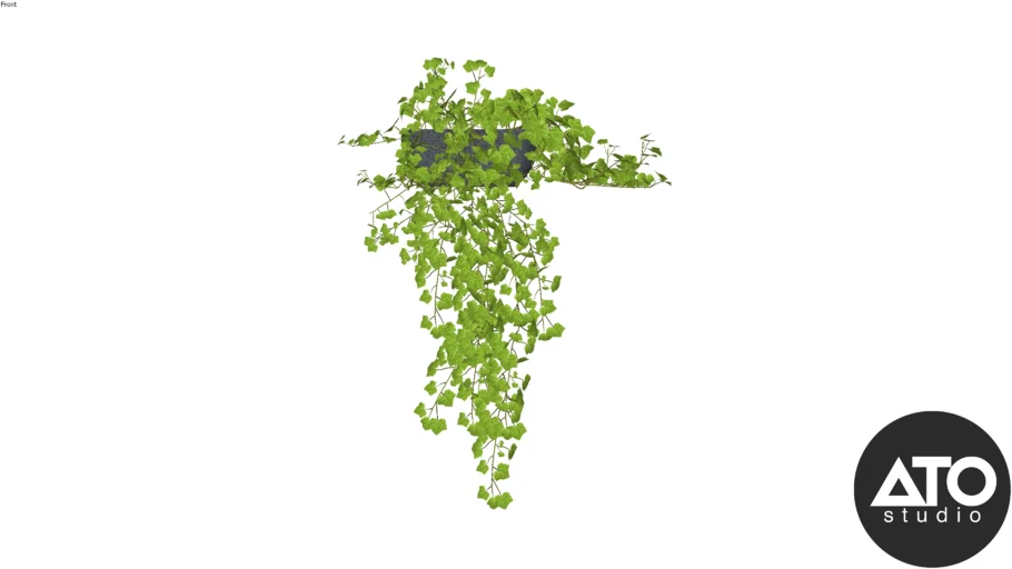 Planta Hera