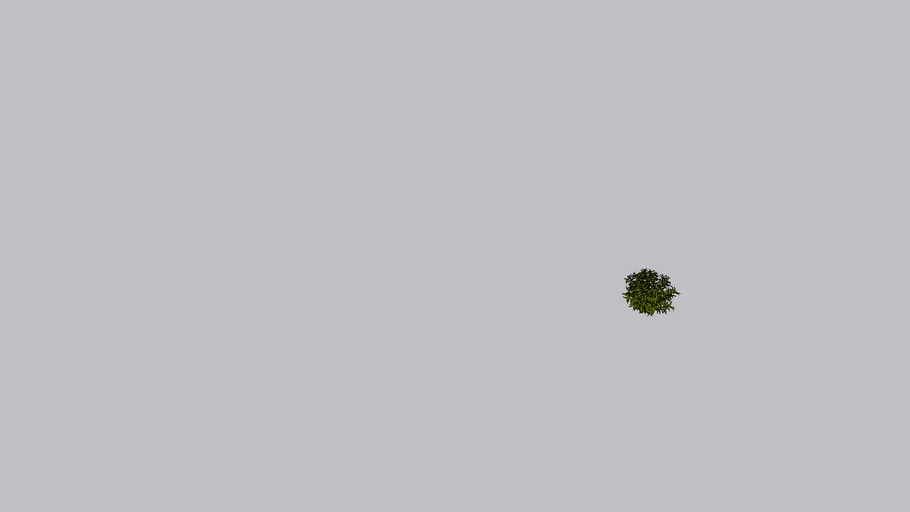 shrubs