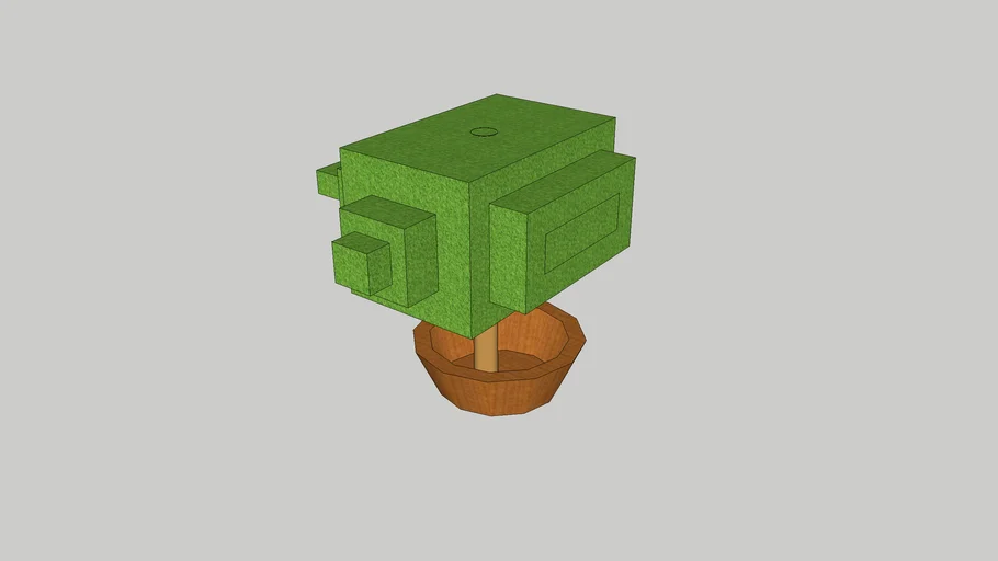 PLANTA EM UM VASO