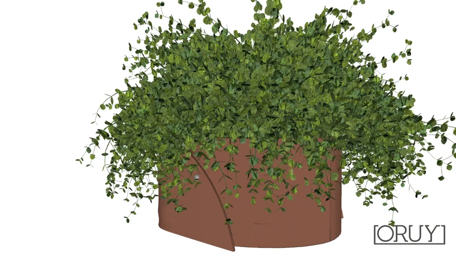 Cachepot Mary PP Oruy Paola Cury cachepot planta plant vaso folha folhagem vegetação