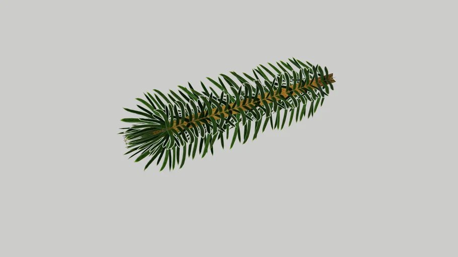 Pine branch detail