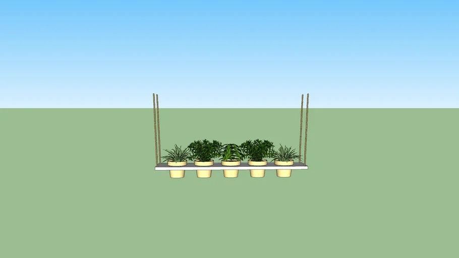Plantas Colgantes