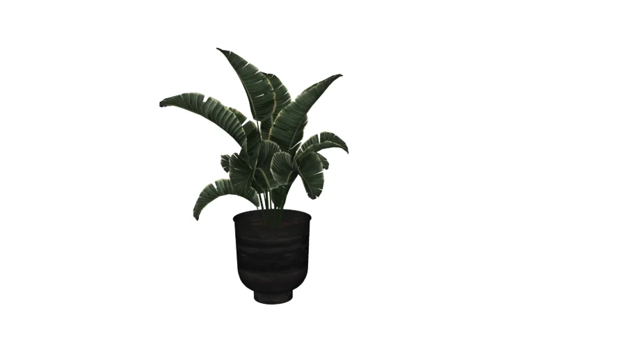 Plant pot