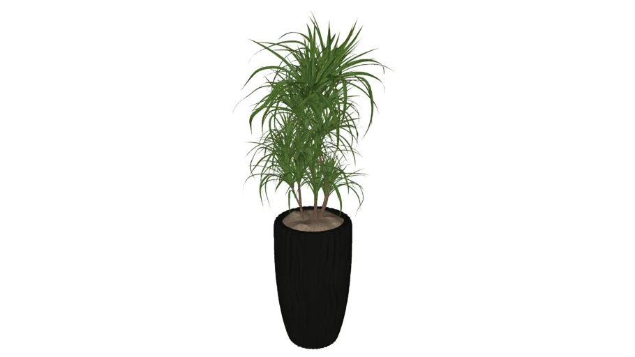 Vaso Planta  Decorativo 2