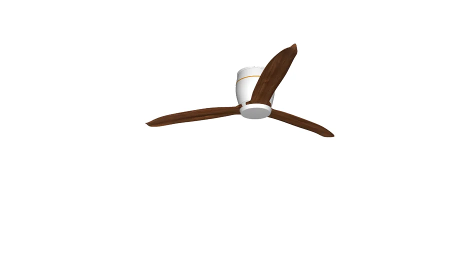 Modern Fan