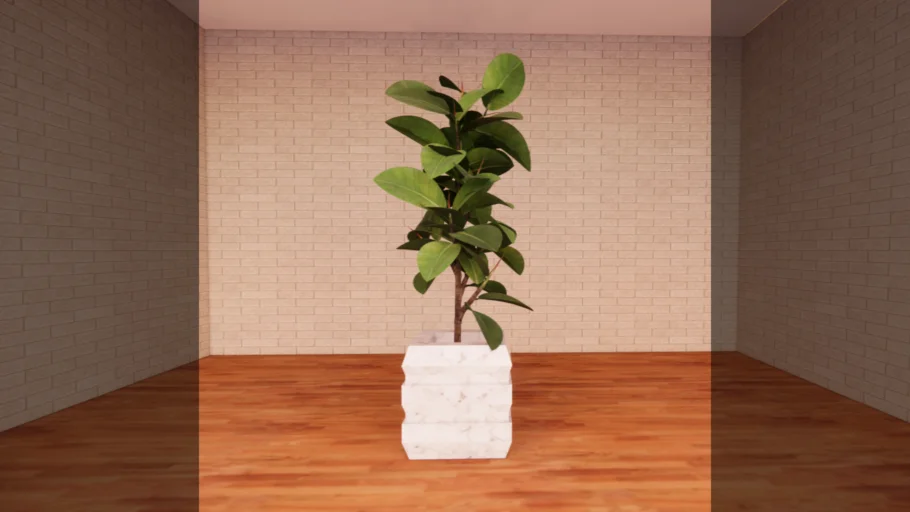 indoor plant