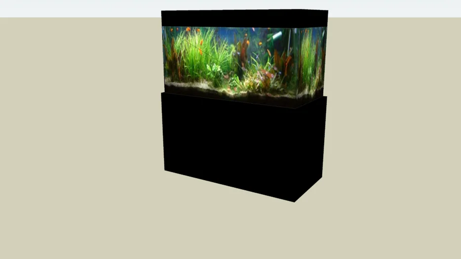 Fish Tank 2