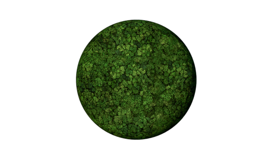 Convex Circle Medium