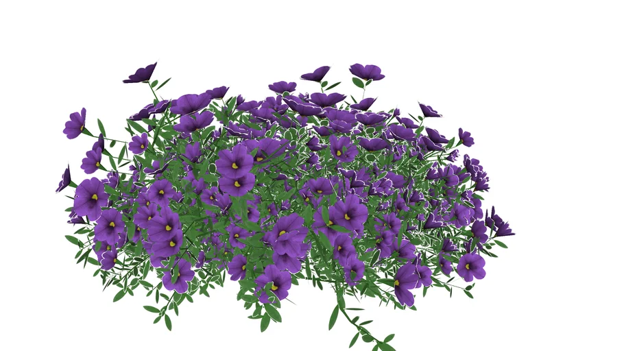 3D Landscape Plant - Calibrachoa hybrid Superbells Blue