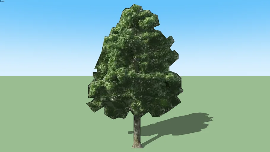 Big tree | 3D Warehouse