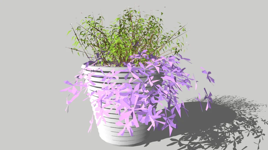 Flower Pot