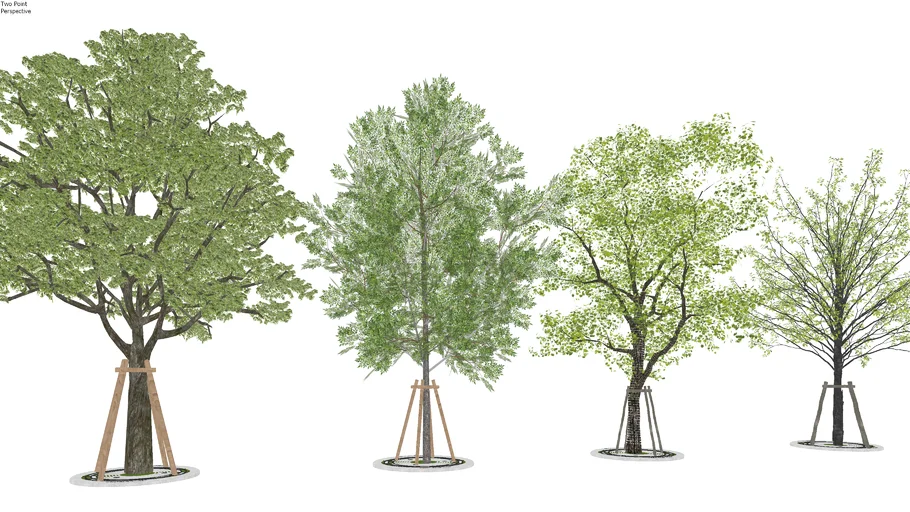 Tree (Via he)