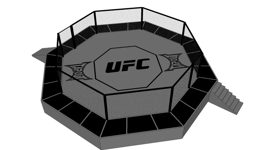 UFC Octagon