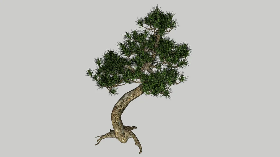 bonsai | 3D Warehouse