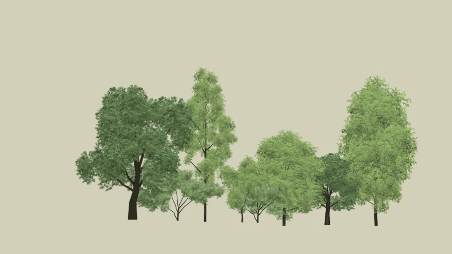 ARBOLES 3D REALISTAS
