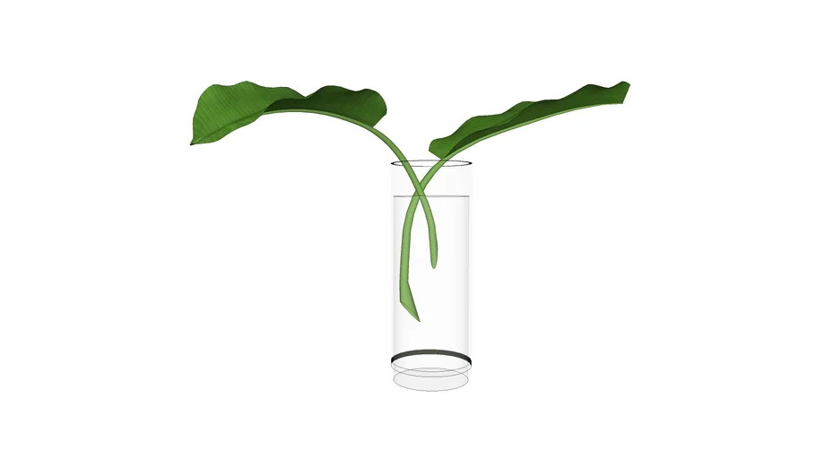 florero agua
