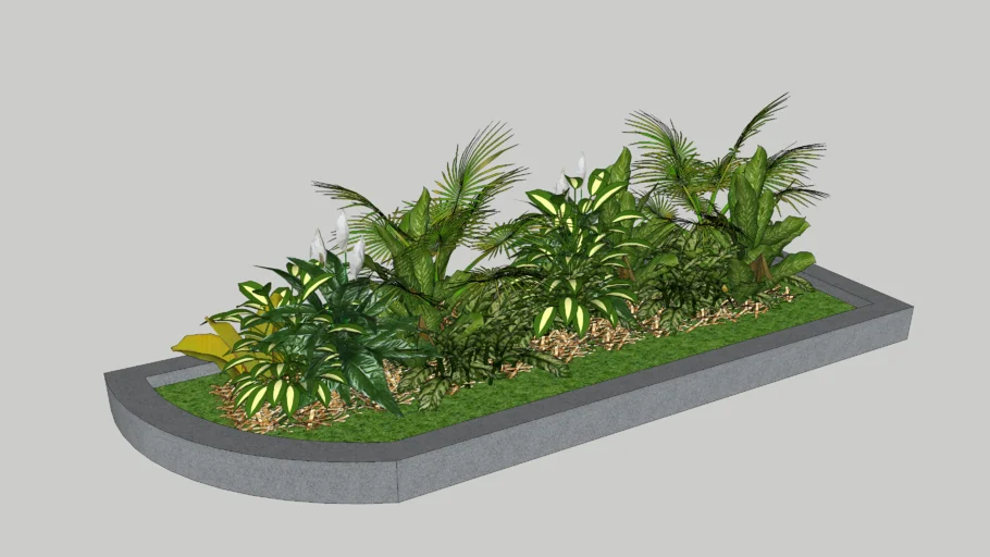 Plants / shrubs / planter