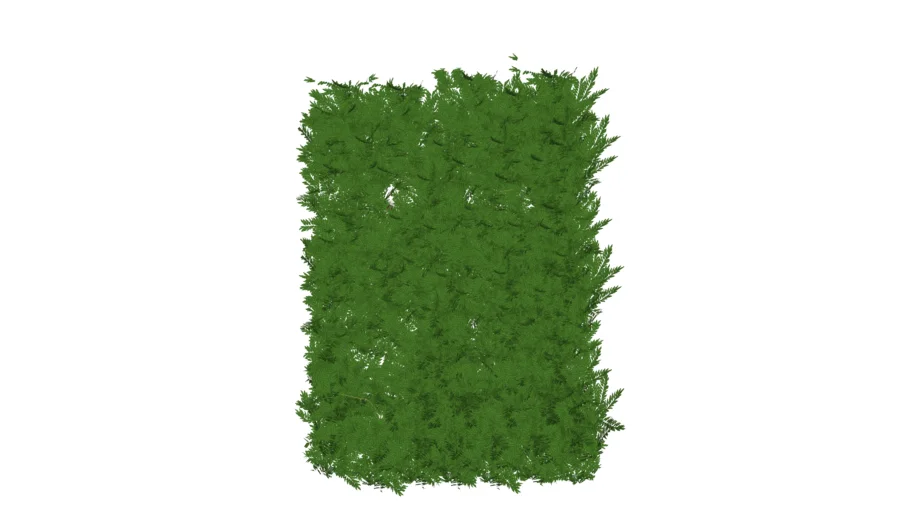 Jardim Vertical