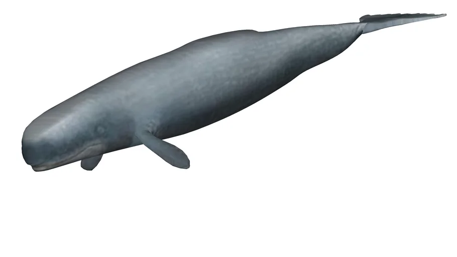 Livyatan Melvillei