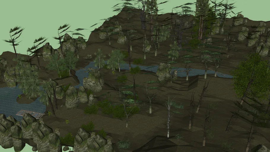 Forest