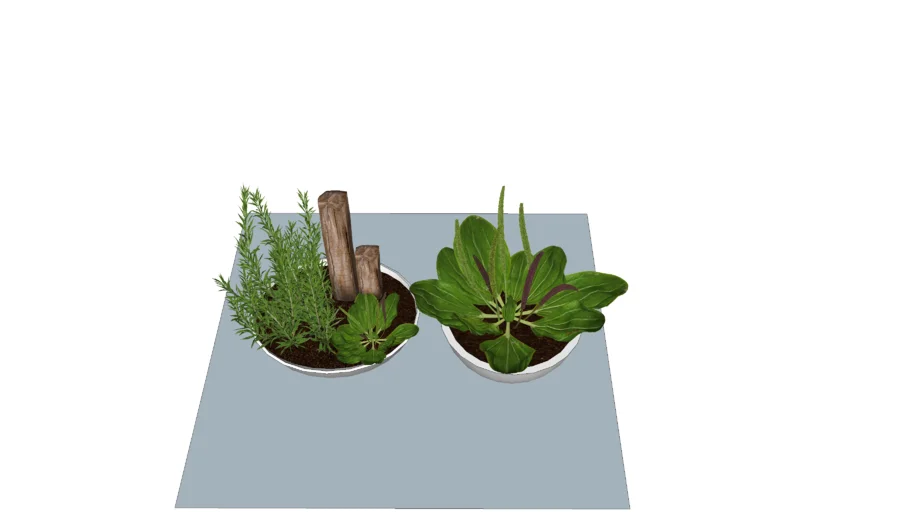potted plants
