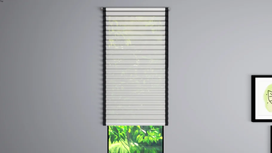 Curtain