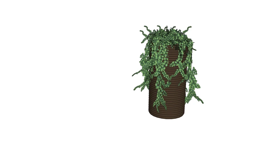 Hanging plant