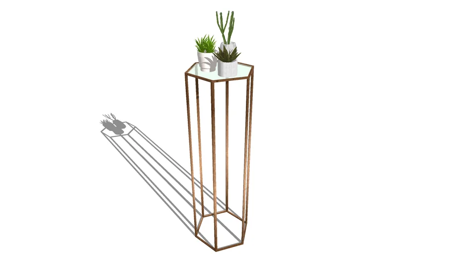 plant 4