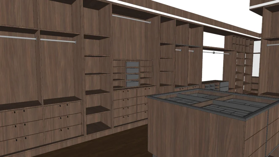 Modern Walk-in Closet Design