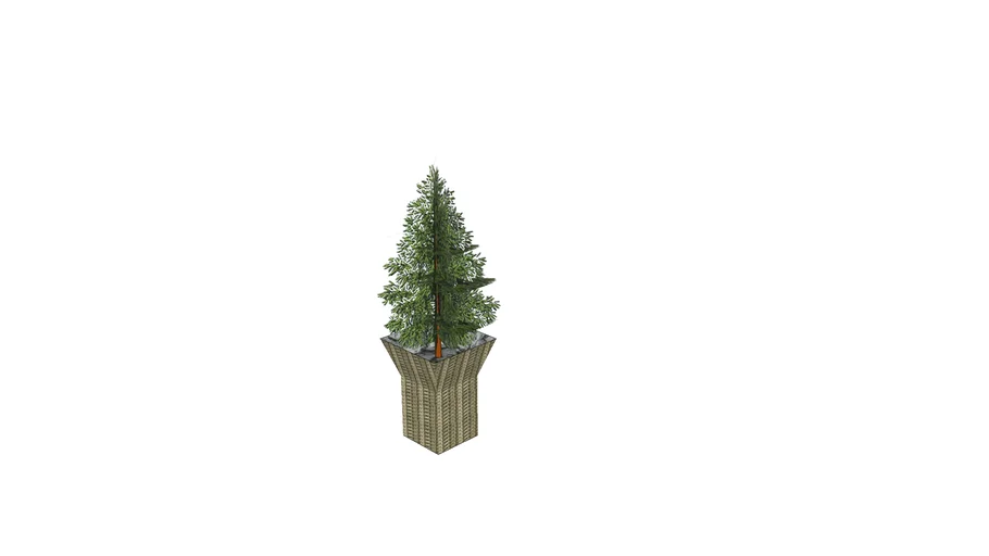 Twist basin with tree