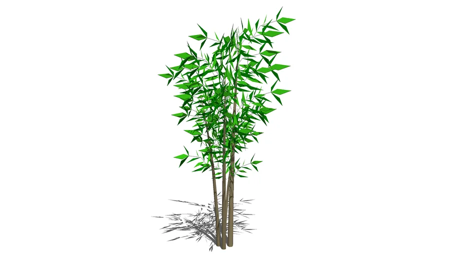 Shrubs - Perennials and Grasses - Bamboo 01