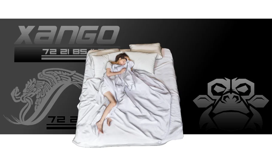Persona mujer dormida cama recamara - xango3d