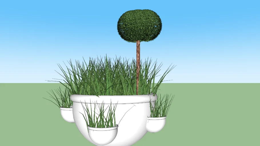 vaso plantas