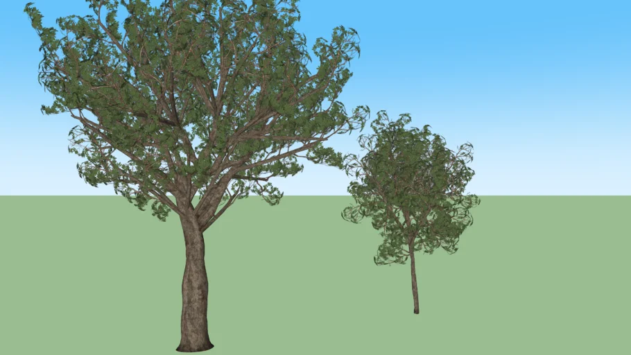 Tree set 3