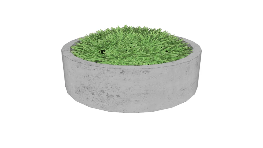 Moss Centerpiece Plant