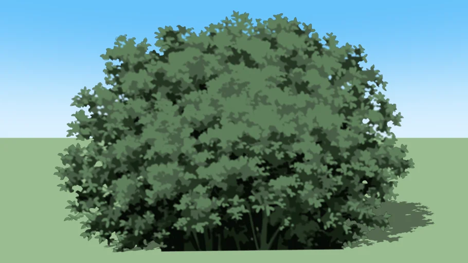 shrubbery04f-a
