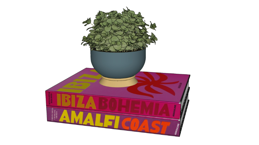Livro com planta decorativa
