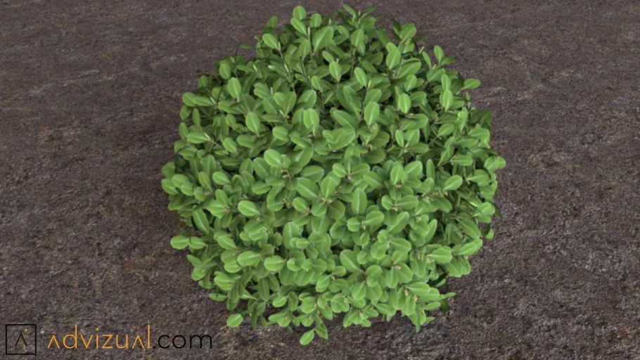 Bush (V-Ray Ready)