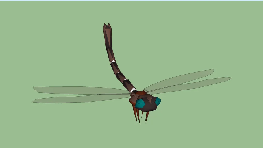 Dragonfly