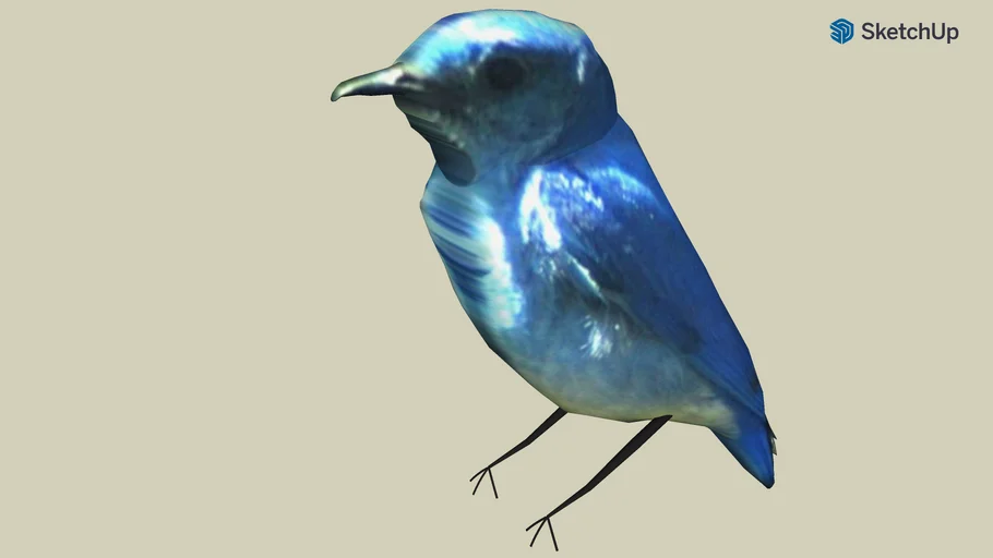 bird | 3D Warehouse