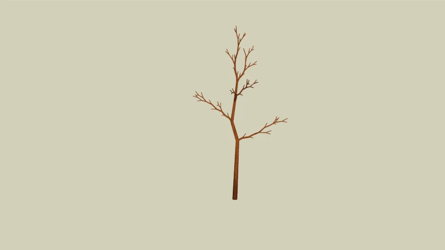 trunk