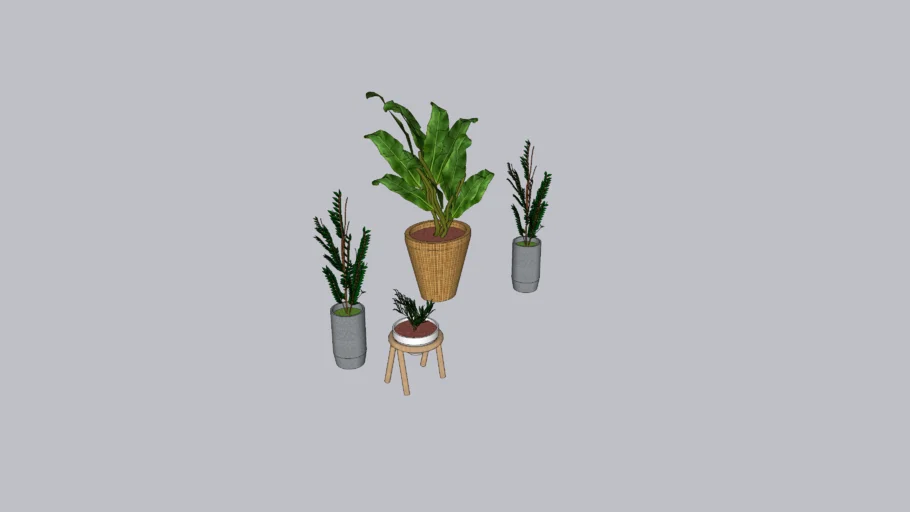 plants 