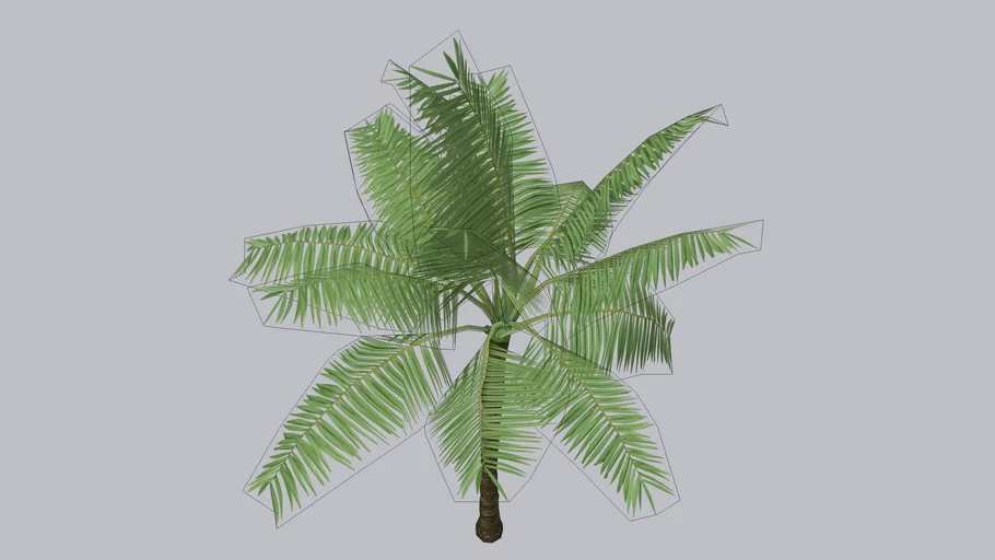 juçara Euterpe Edulis