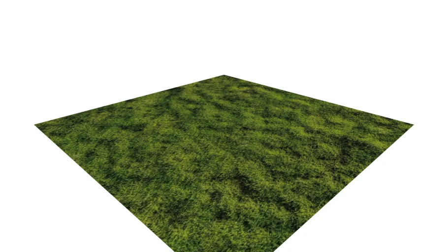 mur mousse stabilisée