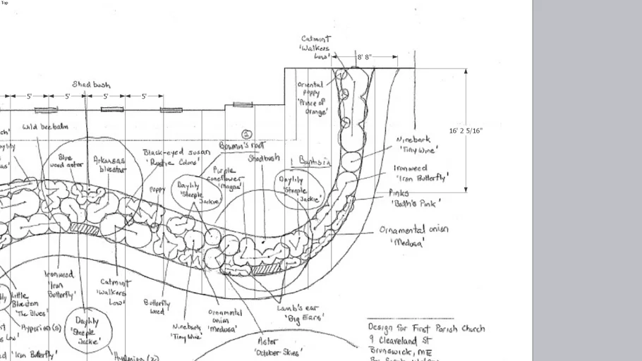 garden path layout