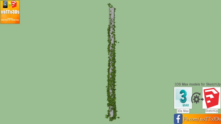 columna enredadera