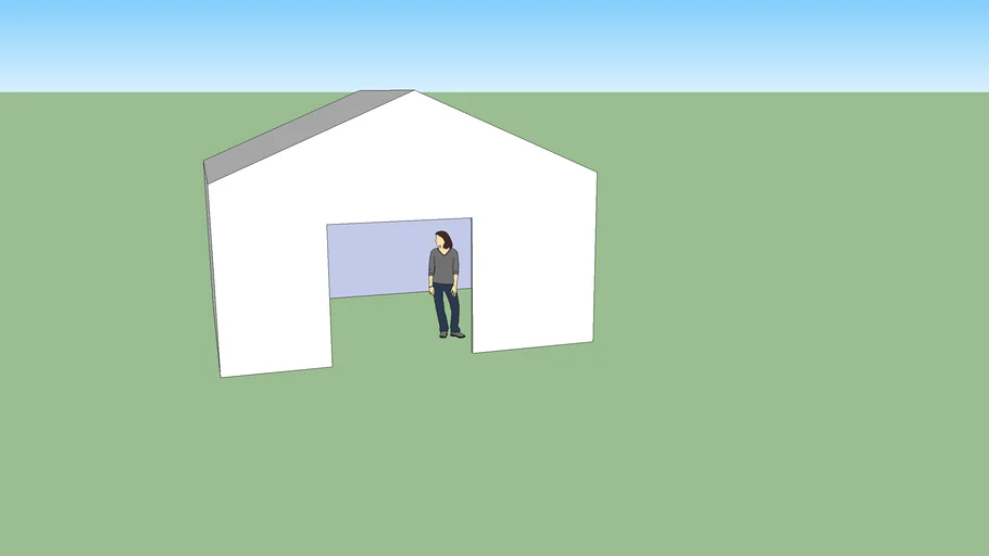 Example