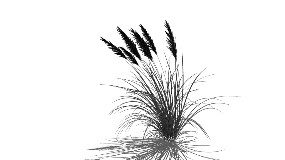weed / flower plant collection